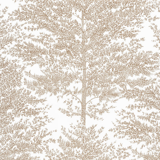 The Place to be (D) Cosy Nest