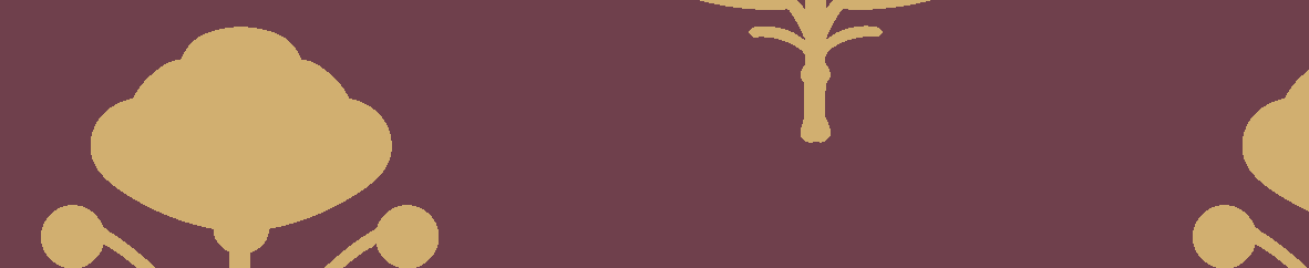 Sabyasachi-Khadi