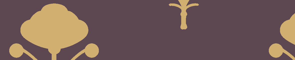 Sabyasachi-Khadi