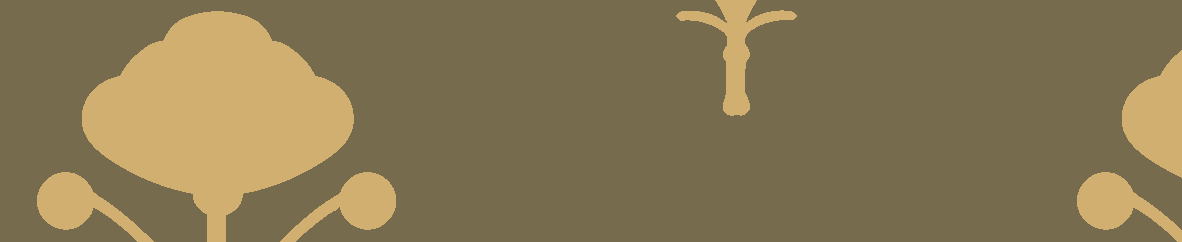 Sabyasachi-Khadi