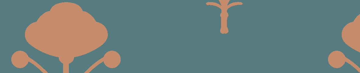 Sabyasachi-Khadi
