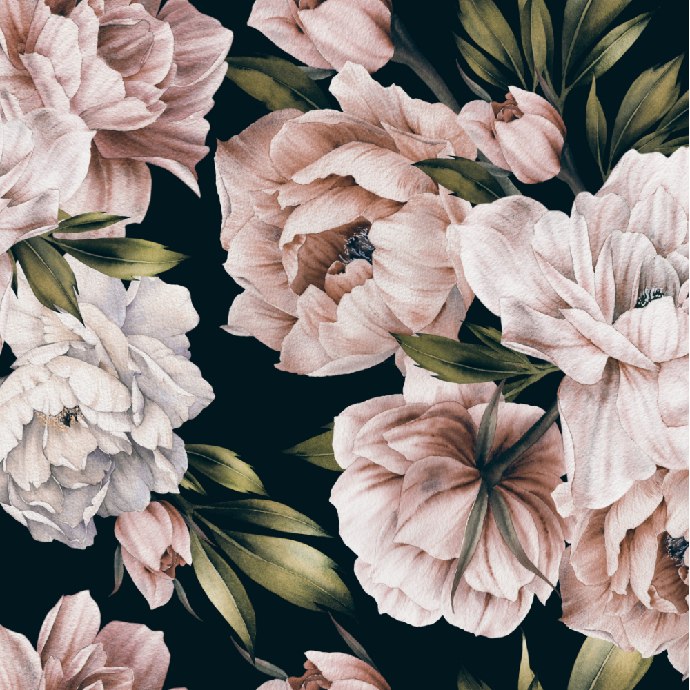 Pink Peony