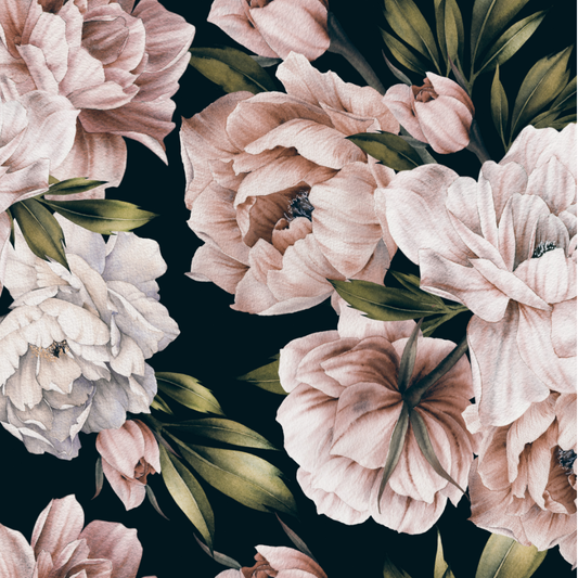 Pink Peony wallpaper