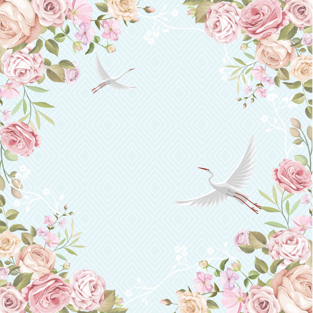 White swan