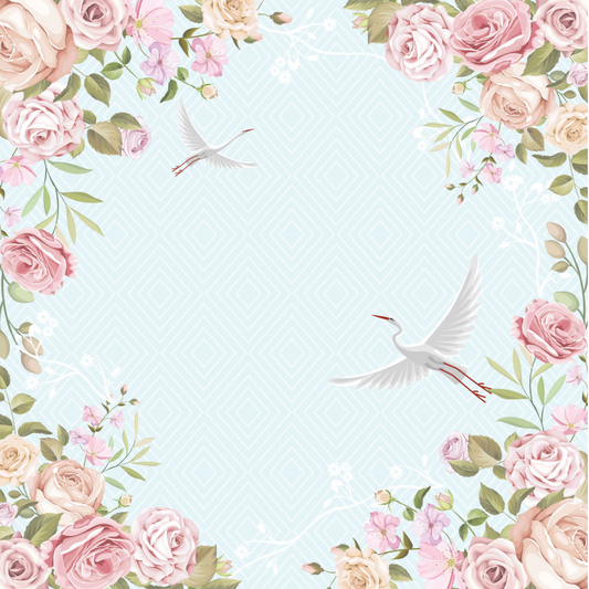 White swan