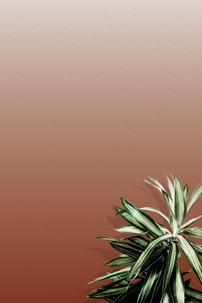 Ombre Rust