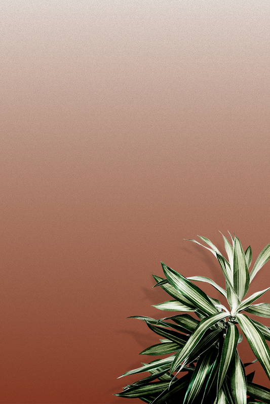 Ombre Rust