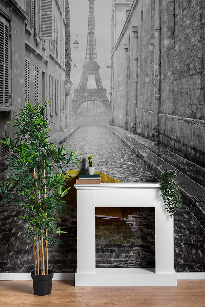 Paris Street