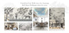 Transform Your Walls Into Art: Stunning Wall Mural Wallpaper Ideas for 2025!