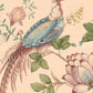Sabyasachi-India Paradise
