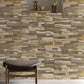 Urban Oasis Granite