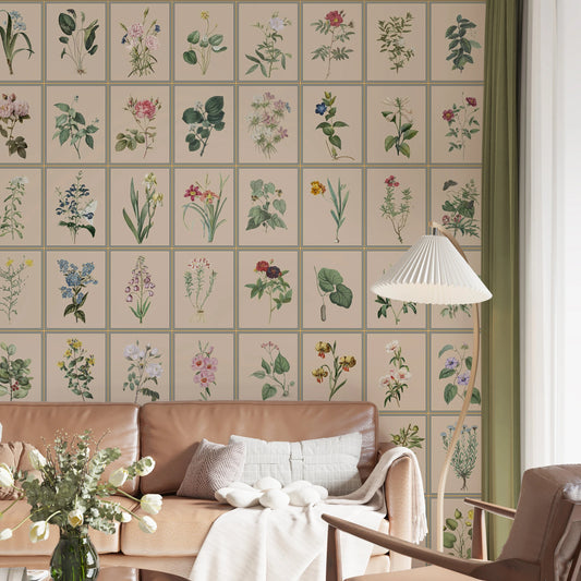 Herbarium Panels