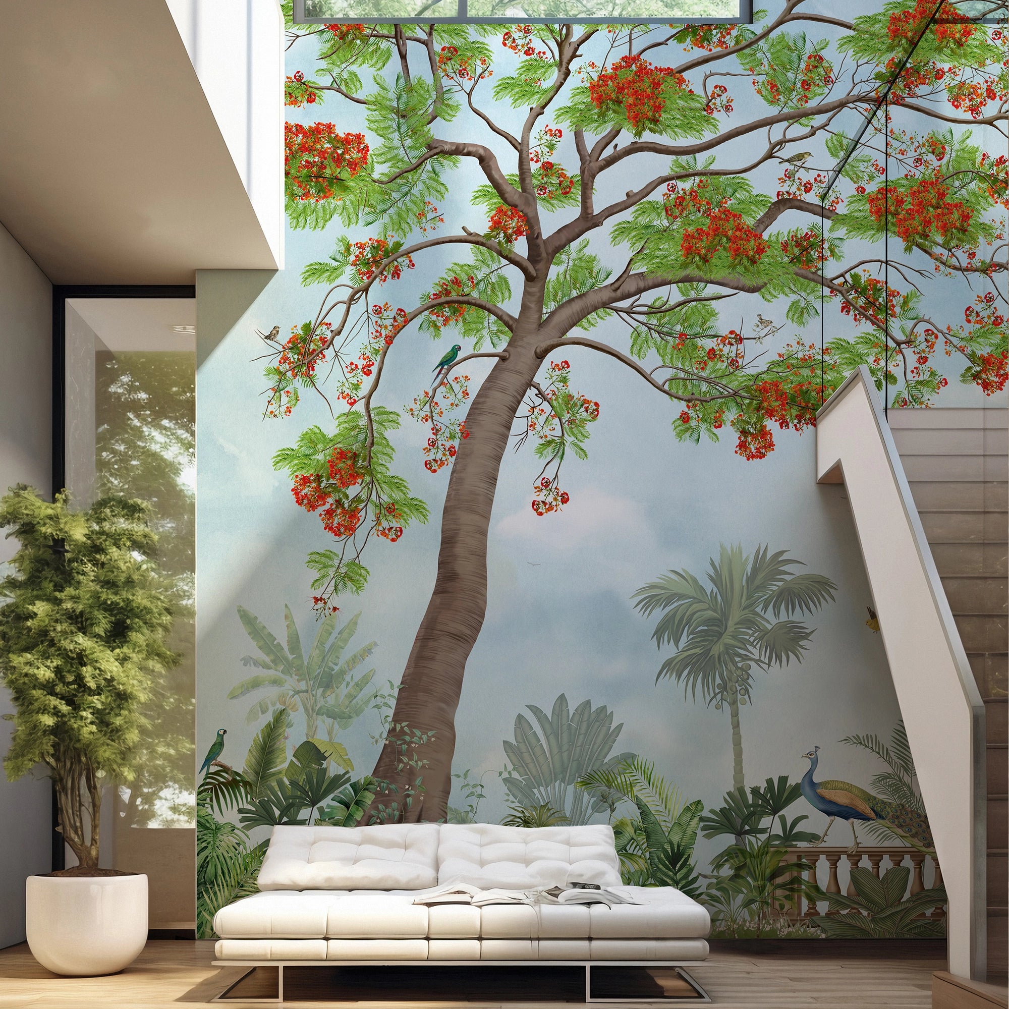 Gulmohar Tree