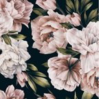 Pink Peony wallpaper 