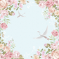 White swan