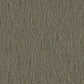 Beta-1101