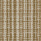 Beta-1105