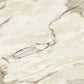 Beta-1109